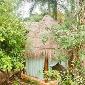 Oma - Holistic Healing Center , Cancun Mexico